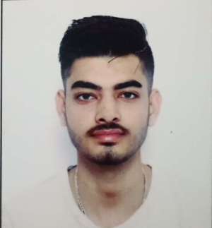 Shubham Thakur-Freelancer in Pathankot,India