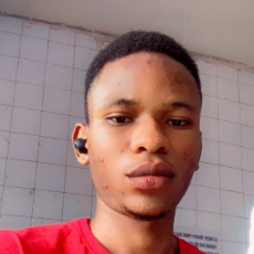 Babatunde Adebayo-Freelancer in Ilorin,Nigeria