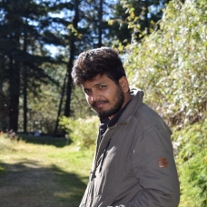 Amit Mittal-Freelancer in New Delhi,India