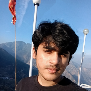 Nabhya Shandilya-Freelancer in Greater Noida,India