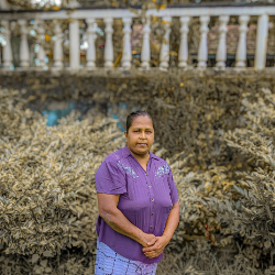 Kumudu Latha-Freelancer in Karandeniya,Sri Lanka