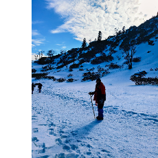 Aditis-Freelancer in Tera Khas,India