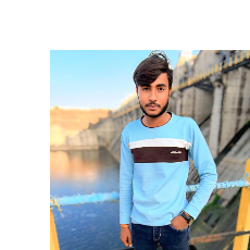 Pawan Prajapati-Freelancer in Bhopal Division,India