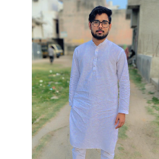 Aqib Abbasi-Freelancer in Dehli,India