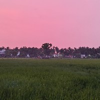 Ibrahim-Freelancer in Madurai,India