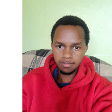 Vincent Muli-Freelancer in Nairobi,Kenya