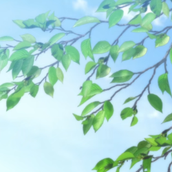 Vishal Karthik R P-Freelancer in Coimbatore,India