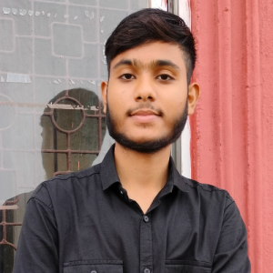 Mr_ Arman-Freelancer in Bhopal,India