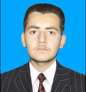 Bisharat Hussain-Freelancer in Tando Muhammad Khan,Pakistan