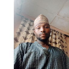 Ahmed Zayyad-Freelancer in Kaduna Nigeria,Nigeria