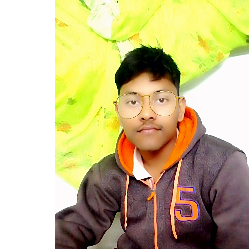 Bikramjit Samui-Freelancer in Delhi,India