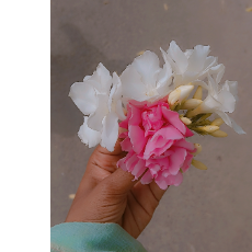 Khushbu-Freelancer in Hisar,India