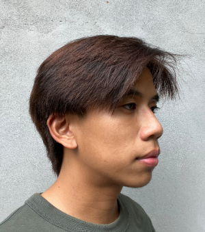 Adly Dris-Freelancer in Kota Samarahan,Malaysia