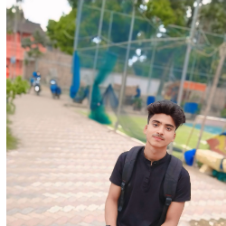 Nasir Uddin-Freelancer in Chyangdana,India