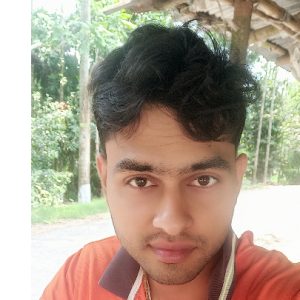 Pallab Chatterjee-Freelancer in ,Bangladesh
