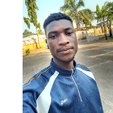 Godwin Ayuba-Freelancer in Gashua Yobe State,Nigeria