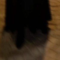 Naf Salih-Freelancer in امارة منطقة الرياض,Saudi Arabia