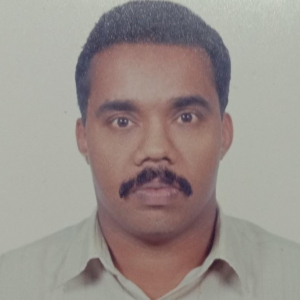 Sreenivasan Nandayilparambil-Freelancer in ,India