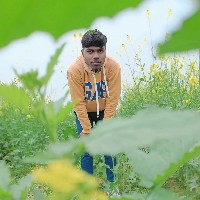 Vinit Kumar-Freelancer in Gorakhpur Division,India