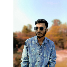 Sahadat Hossain-Freelancer in Dhaka,Bangladesh