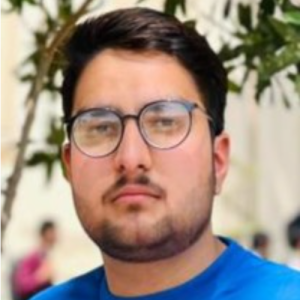 Shah Hussain Hamdani-Freelancer in Lahore,Pakistan