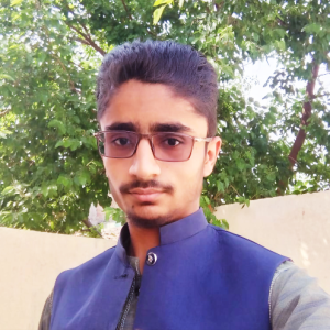 Muhammad Bilal-Freelancer in Fateh Jang,Pakistan