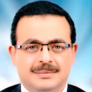 Medhat Gamal-Freelancer in Cairo,Egypt