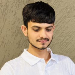 Rommy Verma-Freelancer in Abohar,India