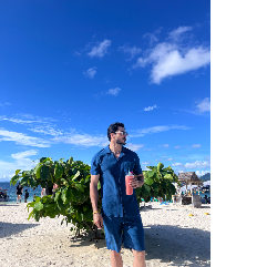 Amirhossein Ashouri-Freelancer in Phuket,Thailand