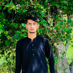 Ibad ullah-Freelancer in Mansehra,Pakistan