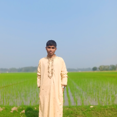 Aninda Biswas-Freelancer in Narail,Bangladesh