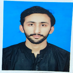 Ali Kamran-Freelancer in Sargodha,Kyrgyz Republic