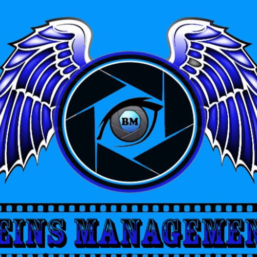 Beins Management-Freelancer in ,Indonesia
