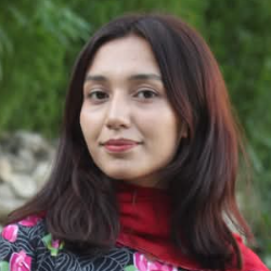 Gul Noor-Freelancer in Danyor,Pakistan