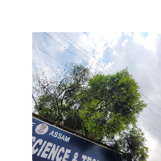 Kabyashree Kashyap-Freelancer in Guwahati,India