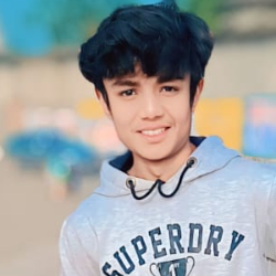 Sumit Kumar-Freelancer in New Delhi,India