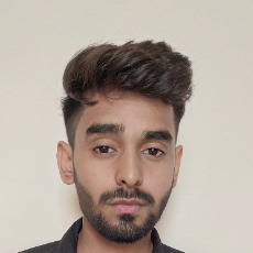 Kartik-Freelancer in Ajmer,India