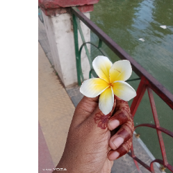 Miss Moodie-Freelancer in ,Bangladesh