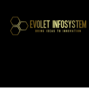 Evolet Infosystem-Freelancer in Jaipur,India