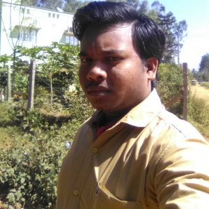 Naveen-Freelancer in Bangalore,India