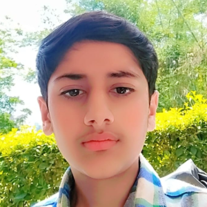 Ali Khan-Freelancer in Islamabad,Pakistan