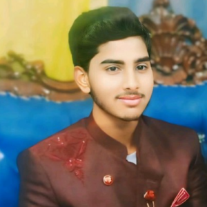 MALIK ZEESHAN-Freelancer in Ghanaikey,Pakistan