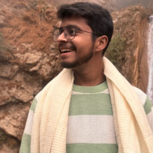 Arjit Goyal-Freelancer in Noida,India