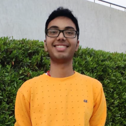 Priyanshu Thakur-Freelancer in Patna,India