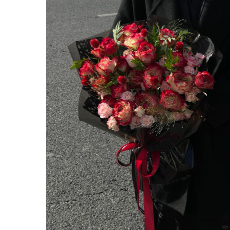 Palak Saxena-Freelancer in Prayagraj,India