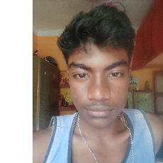Subham Thakur-Freelancer in Andal,India