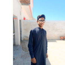 Hafiz Labeeb-Freelancer in Lahore,Pakistan