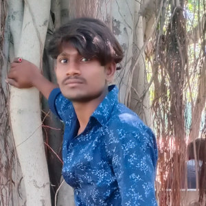 Mavi vipulbhai madiyabhai-Freelancer in Bhavnagar thordi,India