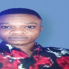 Kingsley Abebe-Freelancer in Port Harcourt,Nigeria
