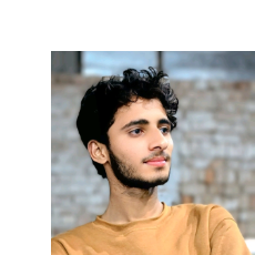 Waleed Ahmad-Freelancer in ,Pakistan